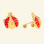 Coccinara