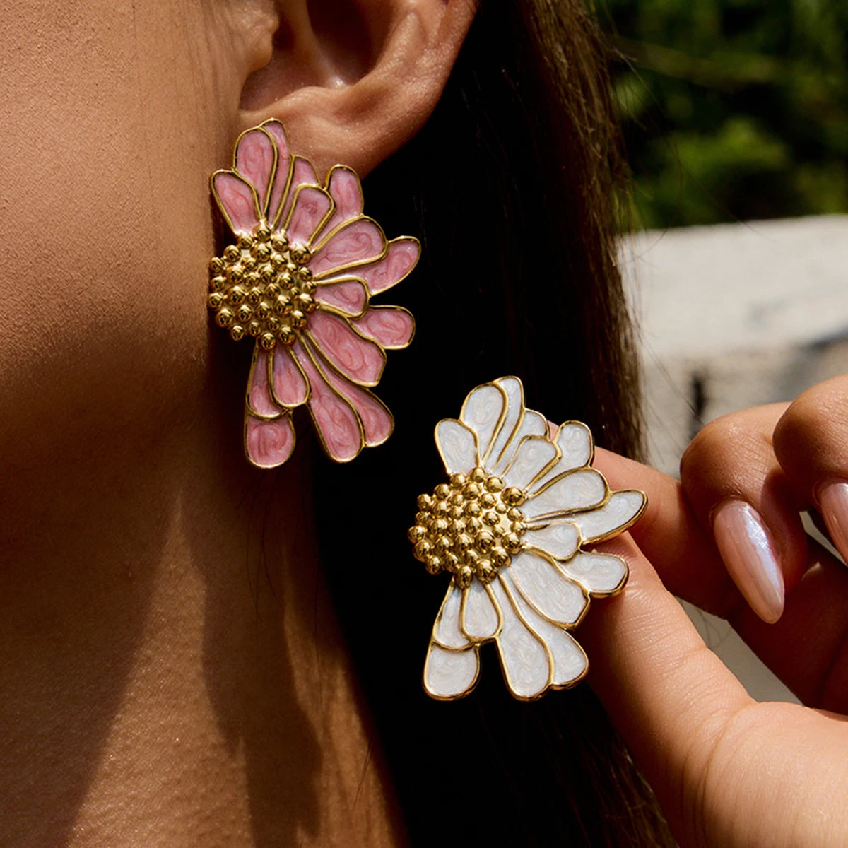 Cassiania