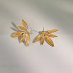 Asterienne